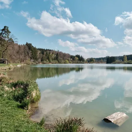 Ferienhaeuser Fischer Wagenhausen بيت للعطل باد زاولغاو
